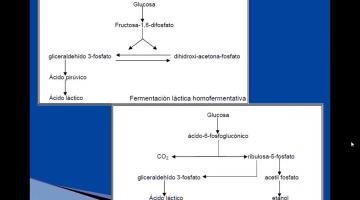 CONSERVACION-Fermentacion-Ahumado