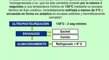 Lacteos I Parte 5