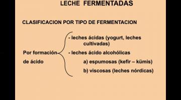 Leches fermentadas (1º Parte)