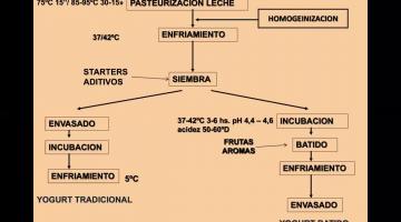 Leches fermentadas (2º Parte)
