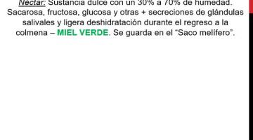 Miel Parte 1