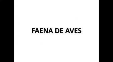 Faena Aves