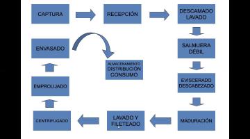 Productos Pesqueros 6 Parte
