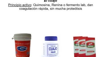 QUESOS PARTE 4