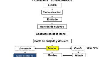 QUESOS PARTE 5