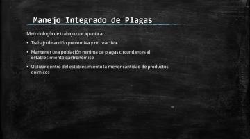 MIP 3