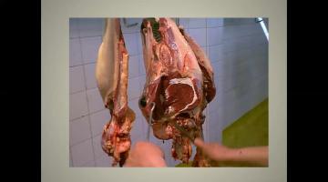 Criterio Sanitario Posmortem