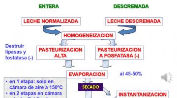Leche en polvo - Ciclo Superior Obligatorio